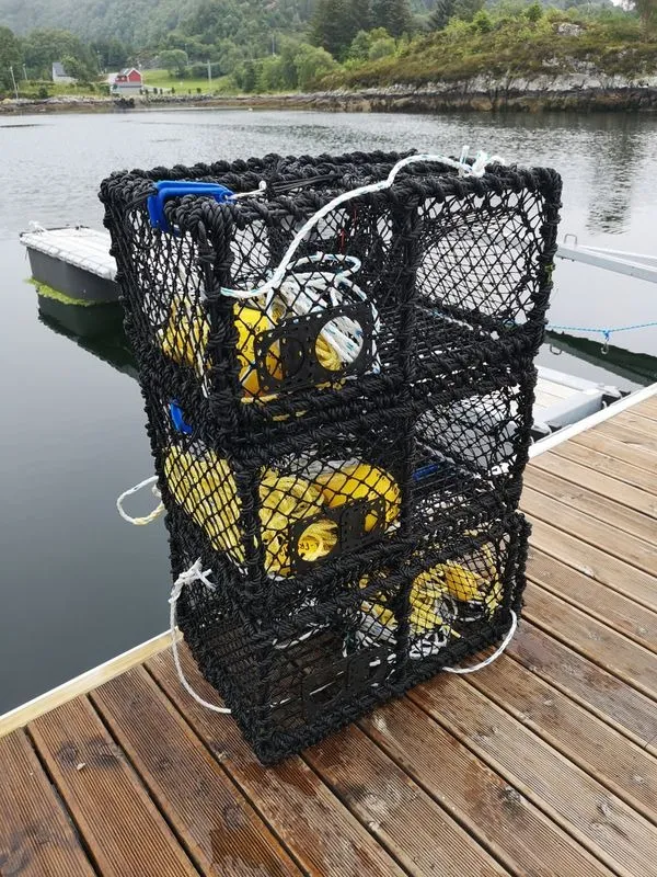 Krabbeteine sammenleggbar, 9 kg