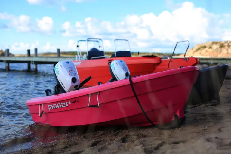 Pioner 8 Mini