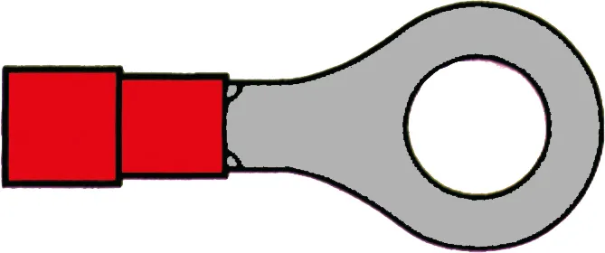 Ringsko