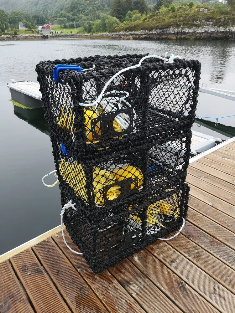 Krabbeteine 5 kg, 64x44x34 cm