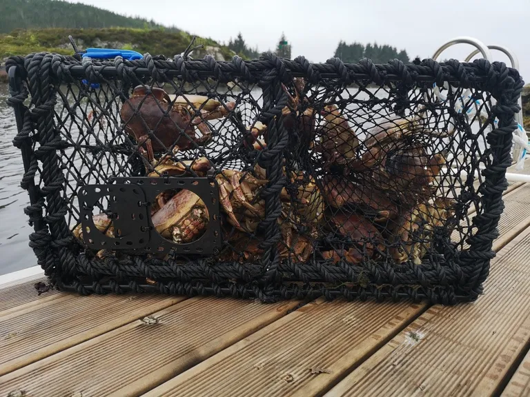 Krabbeteine 5 kg, 64x44x34 cm