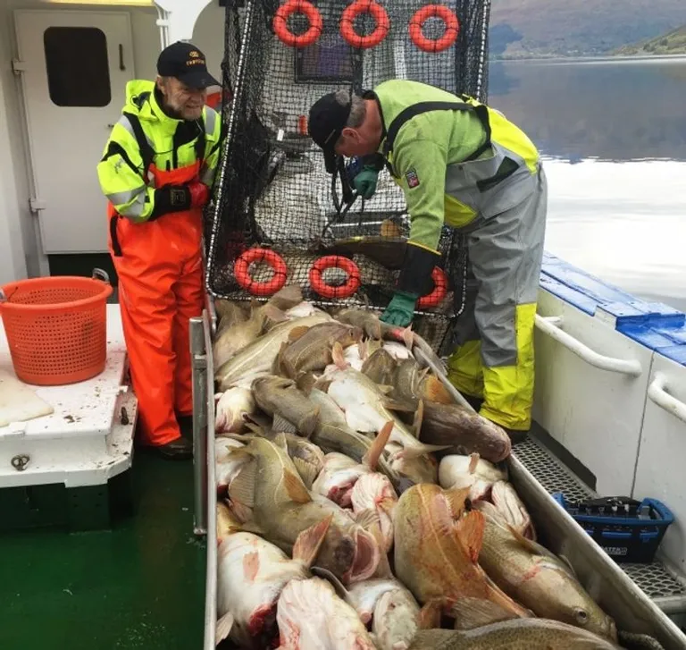 Fisketeine 2. etg   95x65cm - 5,3kg