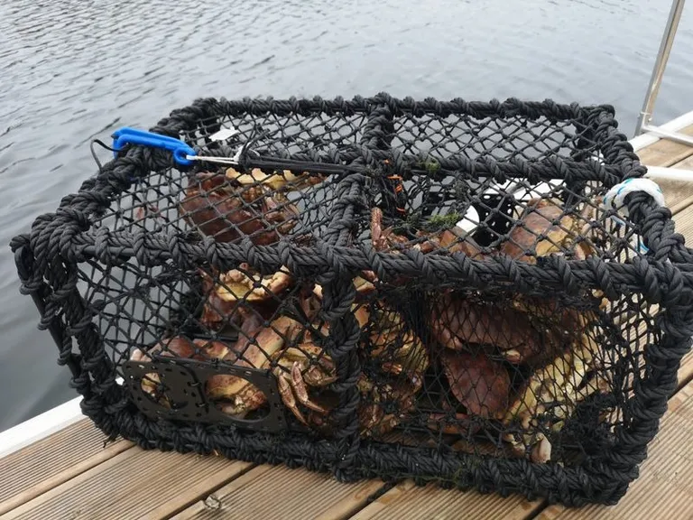 Krabbeteine sammenleggbar, 9 kg