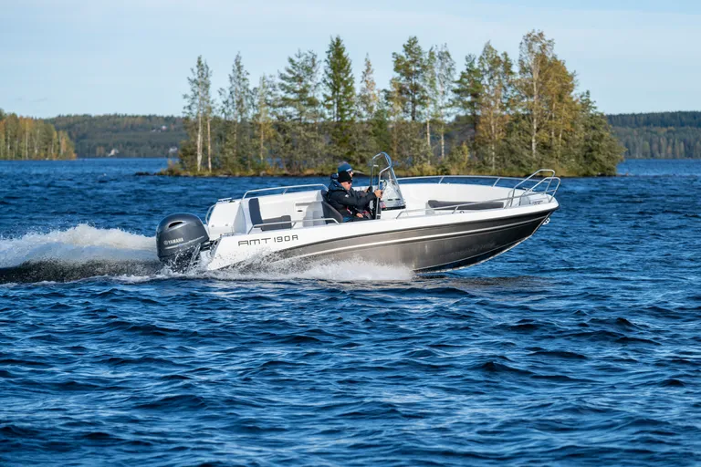 AMT 190 Rf