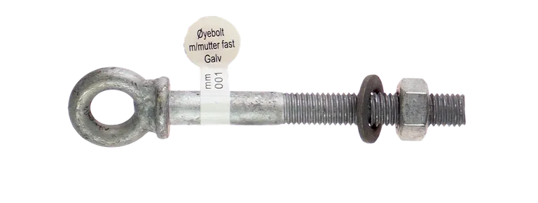 Øyebolt m/mutter fast 12x100mm 
