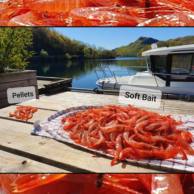 Soft-bait teineagn, 4 kg