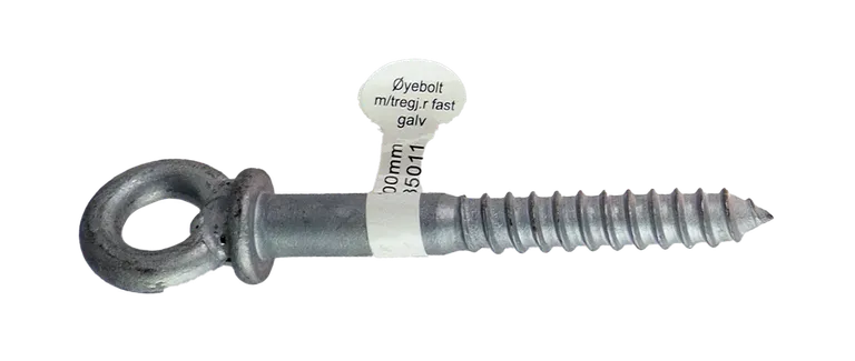 Øyebolt m/tregj. fast 12x100mm