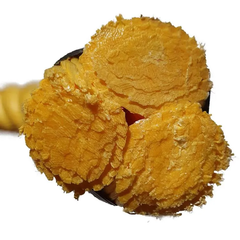 Tau, gul Danline, 14mm, 320mtr kartong