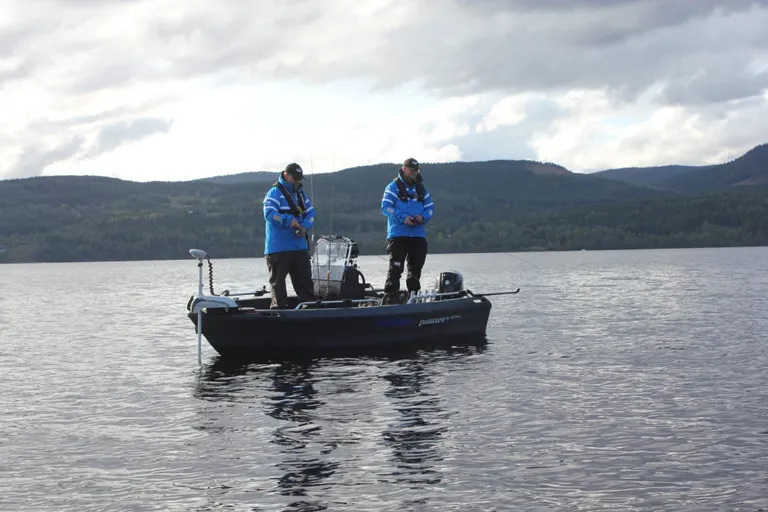 Pioner 14 Fisher