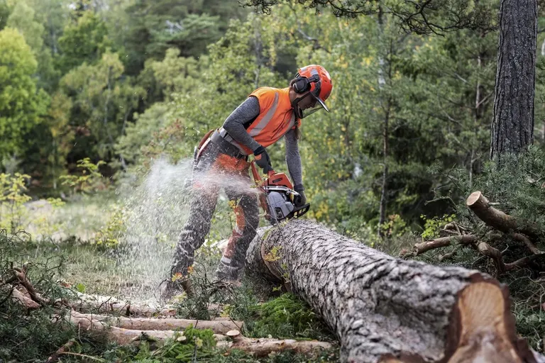 Motorsag, Husqvarna 550 XPG Mark II