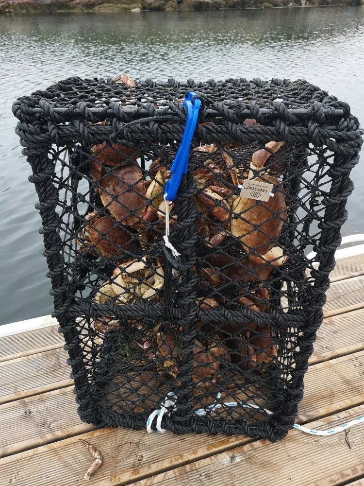 Krabbeteine 5 kg, 64x44x34 cm