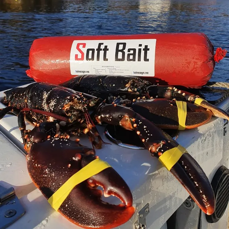 Soft-bait teineagn, 4 kg