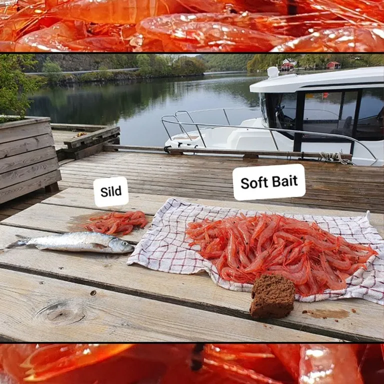 Soft-bait teineagn, 4 kg
