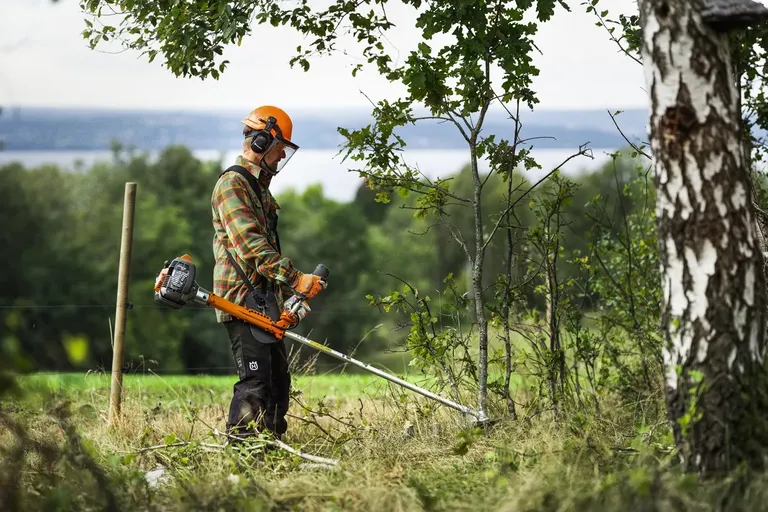 Skogsryddesag Husqvarna 336FR